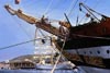 Acrylique 73 x 50<br><a href='../zoom2/amerigo.jpg' class='fancybox' data-fancybox-group='media-gallery' style='color:#2c9dfc;'>Enlarge</a>