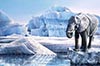 Acrylique 65 x 46<br><a href='../zoom2/elephant.jpg' class='fancybox' data-fancybox-group='media-gallery' style='color:#2c9dfc;'>Enlarge</a>