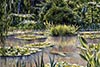 Aquarelle 28 x 20<br><a href='../zoom2/giverny-2.jpg' class='fancybox' data-fancybox-group='media-gallery' style='color:#2c9dfc;'>Agrandir</a>