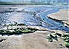 <br>Aquarelle 78 x 56<br><a href='../zoom2/jeux_lumiere_vase.jpg' class='fancybox' data-fancybox-group='media-gallery' style='color:#2c9dfc;'>Enlarge</a>