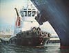 Acrylique 92 x 73<br><a href='../zoom2/nerissa.jpg' class='fancybox' data-fancybox-group='media-gallery' style='color:#2c9dfc;'>Enlarge</a>