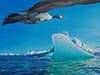 Acrylique 65 x 46<br><a href='../zoom2/oie.jpg' class='fancybox' data-fancybox-group='media-gallery' style='color:#2c9dfc;'>Enlarge</a>