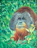 Acrylique 61 x 50<br><a href='../zoom2/orang_outan.jpg' class='fancybox' data-fancybox-group='media-gallery' style='color:#2c9dfc;'>Enlarge</a>