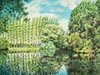 Aquarelle 66 x 53<br><a href='../zoom2/reflets.jpg' class='fancybox' data-fancybox-group='media-gallery' style='color:#2c9dfc;'>Enlarge</a>