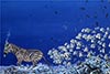 <br><a href='../zoom2/zebre.jpg' class='fancybox' data-fancybox-group='media-gallery' style='color:#2c9dfc;'>Agrandir</a>
